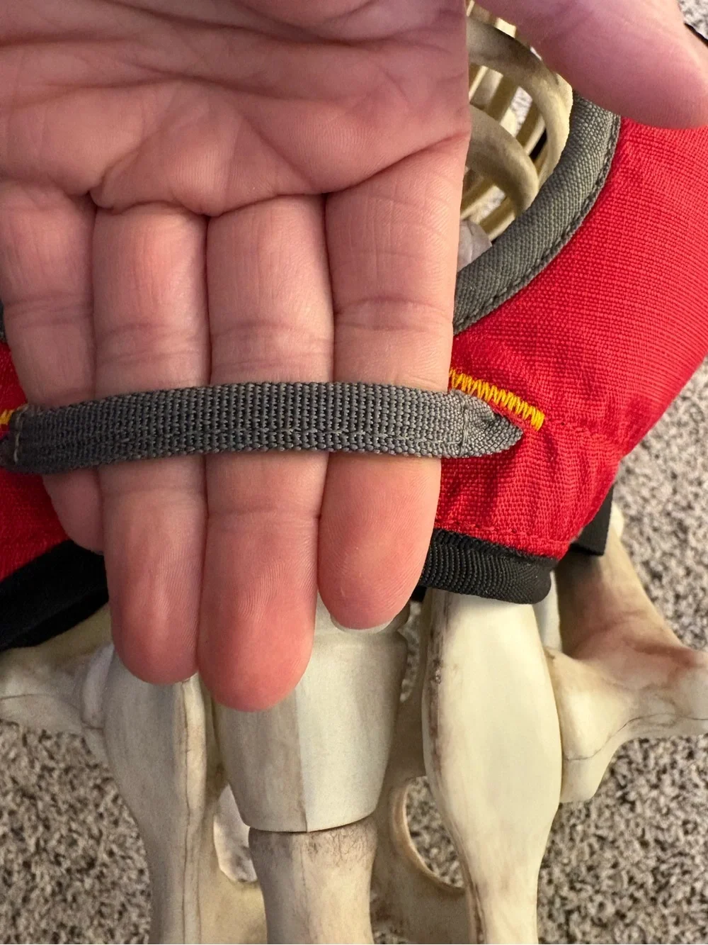 Ruffwear 5-point Webmaster Dog Harness with handle